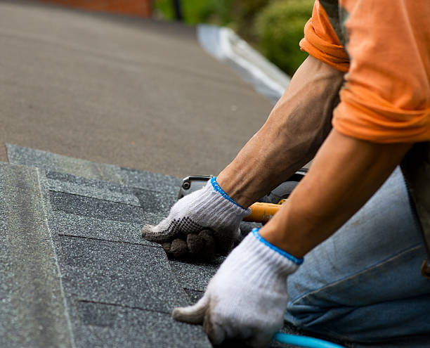 Best Roof Gutter Cleaning  in Bryson City, NC